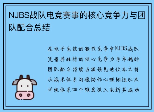 NJBS战队电竞赛事的核心竞争力与团队配合总结
